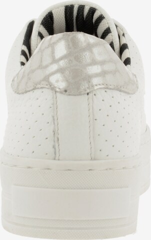 Baskets basses '989011E5C' BULLBOXER en blanc