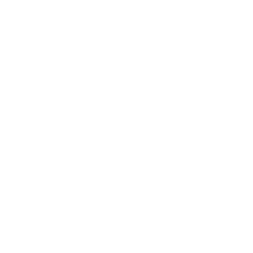 Swedish Stockings Logo