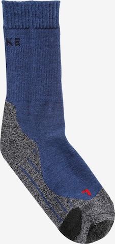 FALKE Socks in Mixed colors