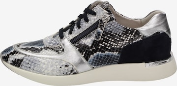 SIOUX Sneaker 'Malosika' in Mischfarben