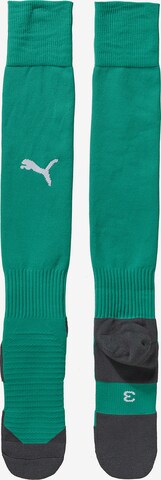 PUMA Soccer Socks 'Team Liga' in Green: front