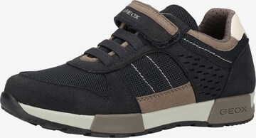 Baskets GEOX en bleu : devant