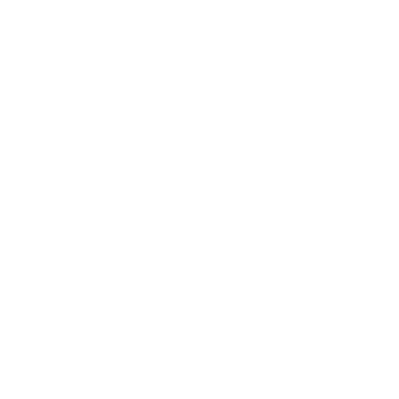 LiVi BERLIN Logo