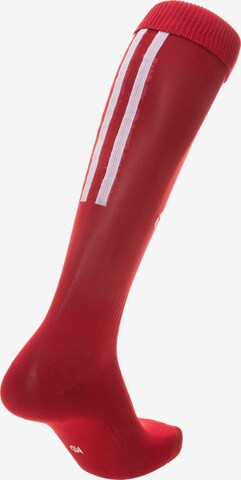 ADIDAS SPORTSWEAR Soccer Socks 'Santos 18' in Red