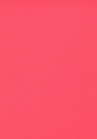 VENICE BEACH Trojúhelníková Bikiny – pink