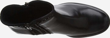 SALAMANDER Ankle Boots in Black