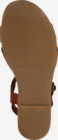 COSMOS COMFORT Sandały w kolorze brązowy