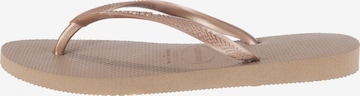 HAVAIANAS T-Bar Sandals in Bronze