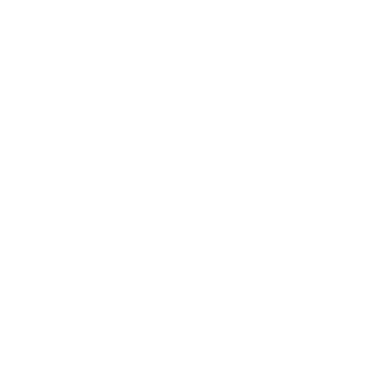 Flip Sox Logo