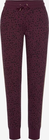BUFFALO Tapered Pants in Purple: front