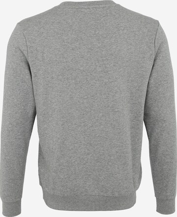 PUMA Sweatshirt in Grau