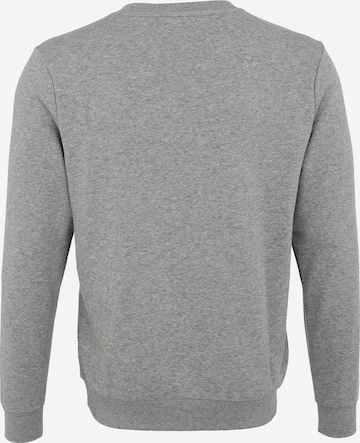 PUMA Sweatshirt in Grau
