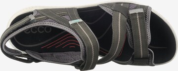 ECCO Sandalen 'Terra' in Grau