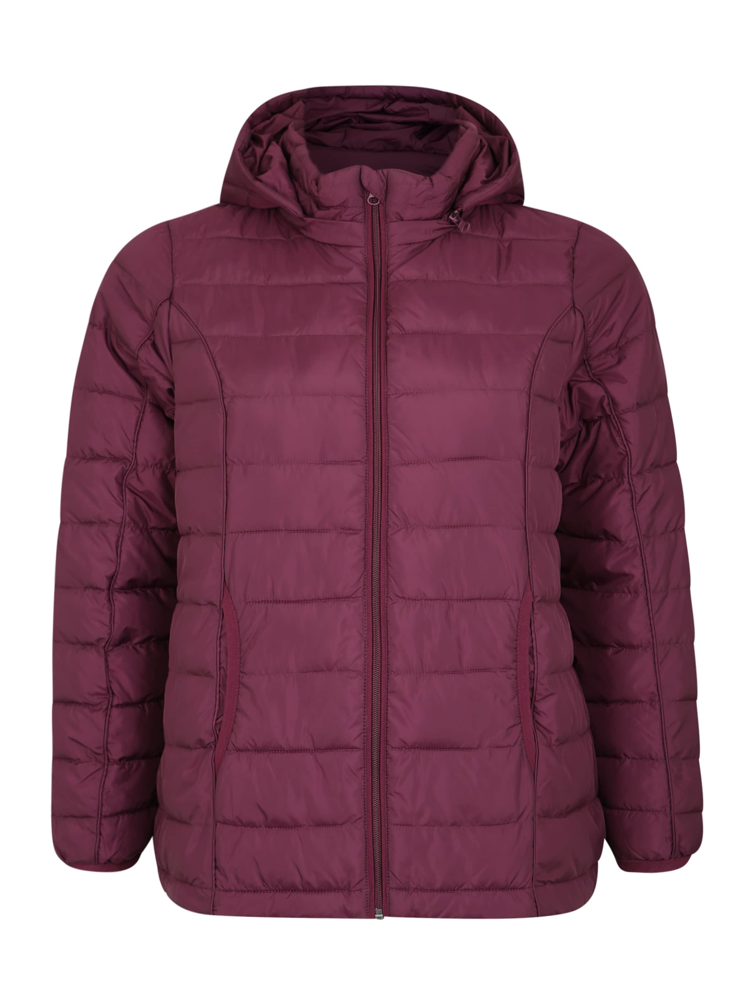 Zizzi - Tussenjas in de kleur Lila