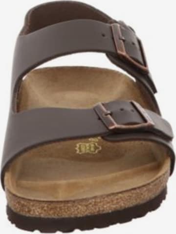 BIRKENSTOCK Sandals in Brown