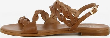 EVITA Strap Sandals 'OLIMPIA' in Brown