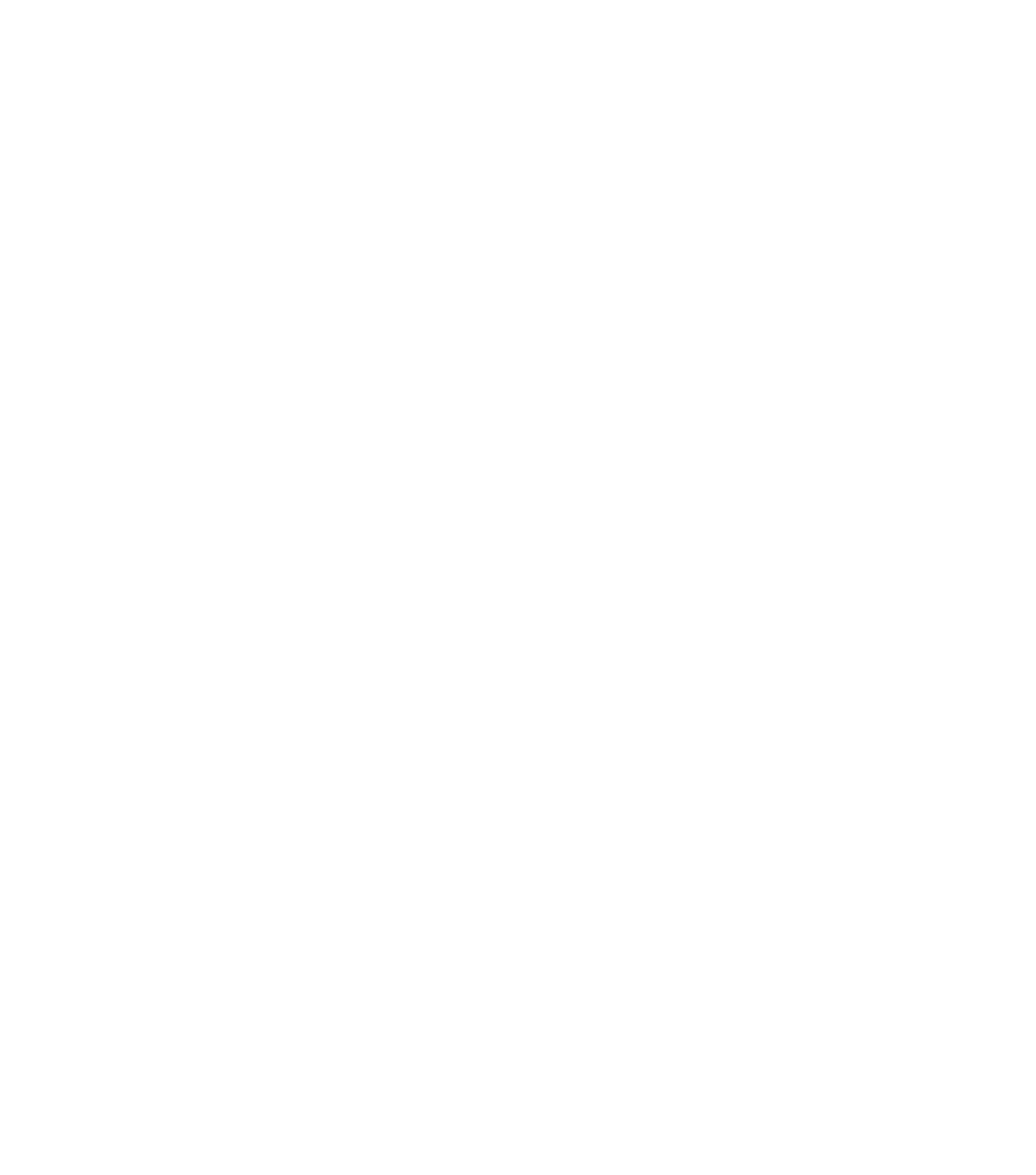 Peak Time Logo
