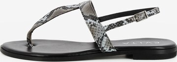 EVITA T-Bar Sandals 'OLIMPIA' in Grey