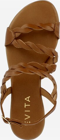 EVITA Strap Sandals 'OLIMPIA' in Brown