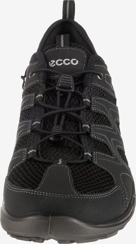 ECCO Buty sportowe sznurowane 'Terracruise' w kolorze czarny
