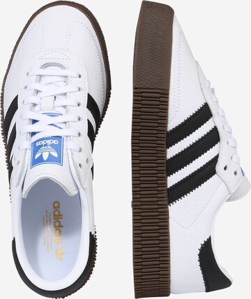 Baskets basses 'Sambarose' ADIDAS ORIGINALS en blanc