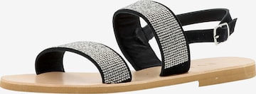 EVITA Strap Sandals in Black: front