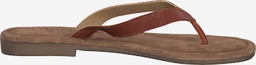 TAMARIS T-Bar Sandals in Brown