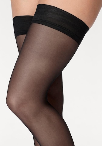 LASCANA Hold up stockings ' 20DEN' in Black