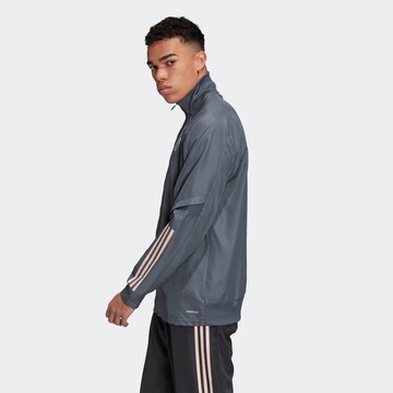 Vestes d’entraînement ADIDAS SPORTSWEAR en gris