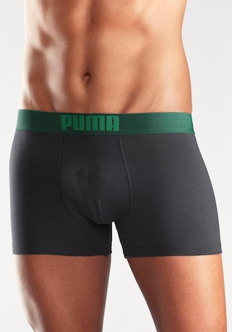 Boxer di PUMA in verde