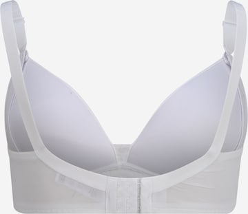 Dorina Regular Bra in White