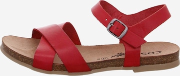 Sandalo di COSMOS COMFORT in rosso