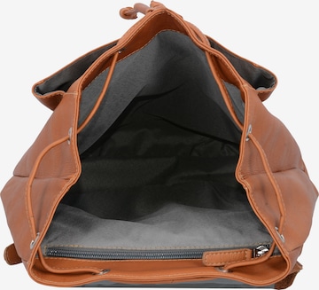 Harold's Backpack 'Heritage City' in Brown