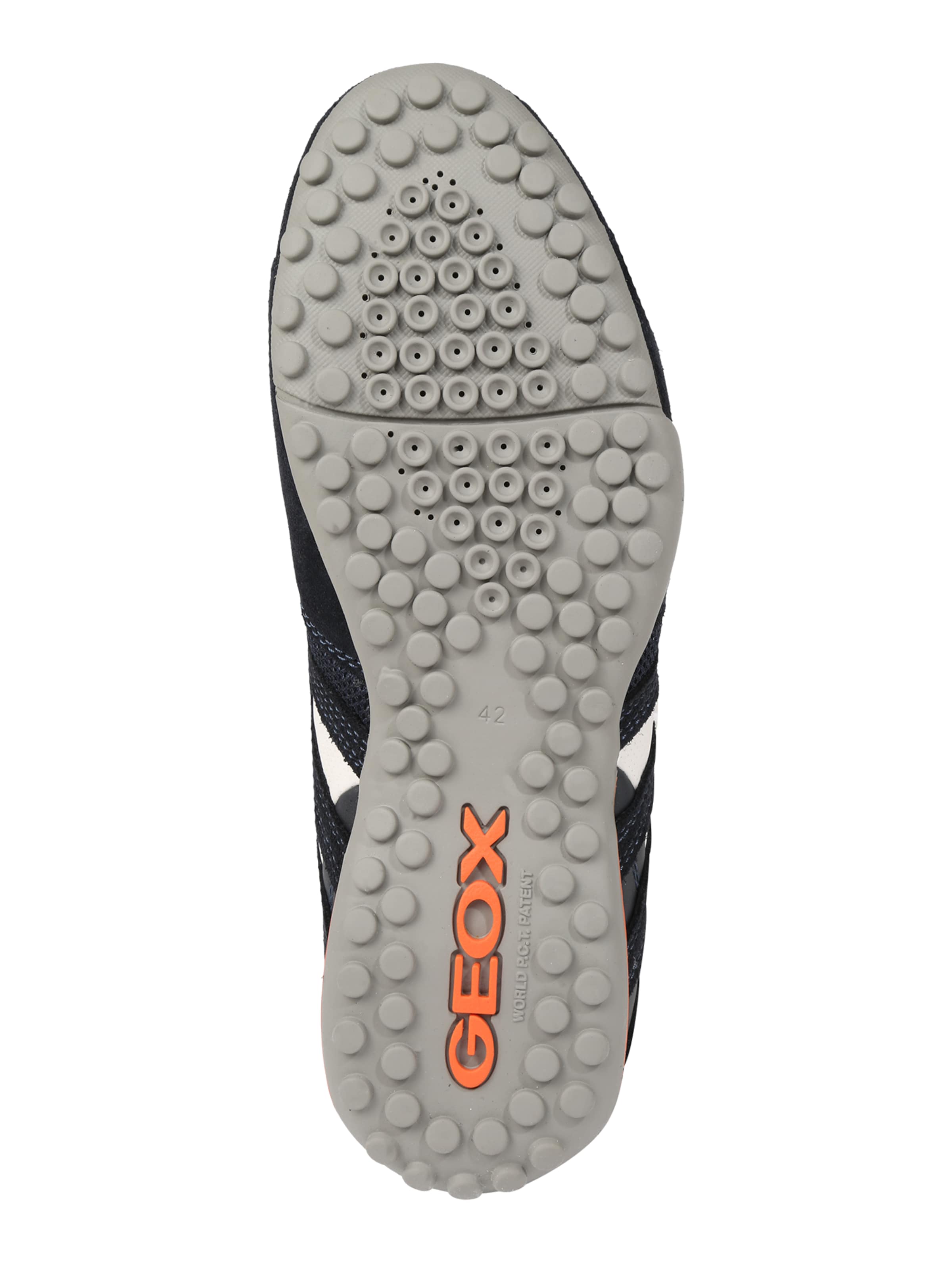 GEOX Sneakers laag 'Snake' in Blauw
