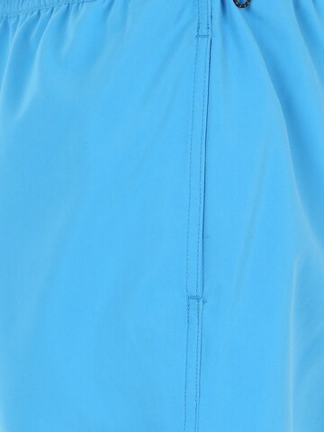 QUIKSILVER Обычный Плавательные шорты в Синий