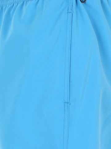 QUIKSILVER Regular Swimming shorts in Blue