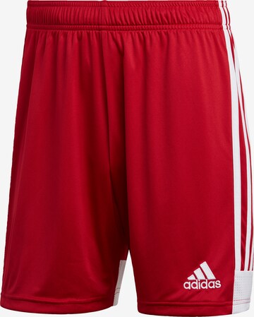 regular Pantaloni sportivi di ADIDAS PERFORMANCE in rosso