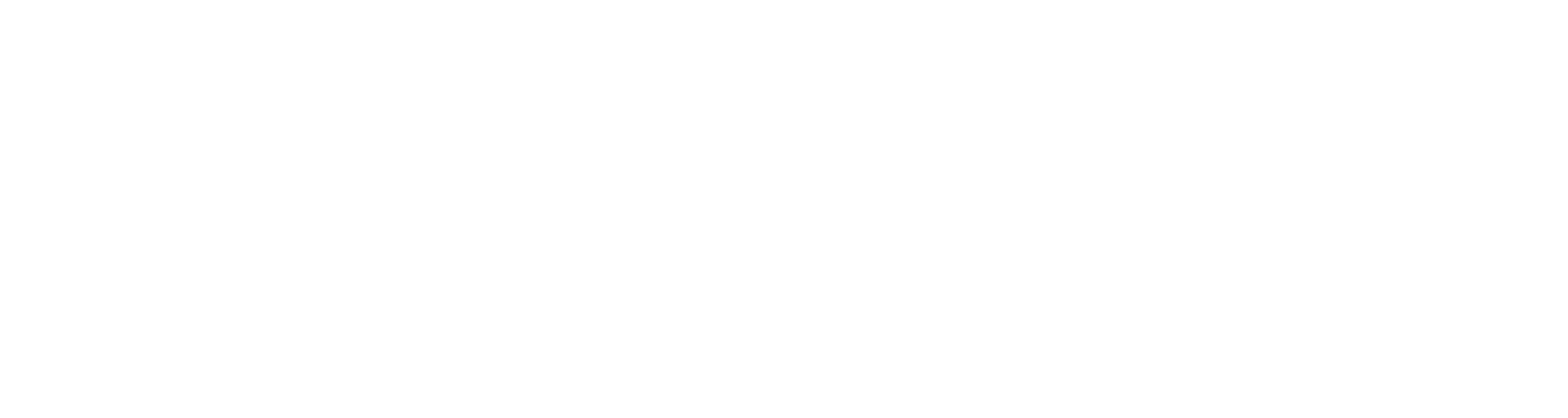 bisgaard Logo