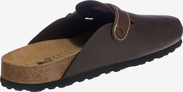 LICO Mules in Brown