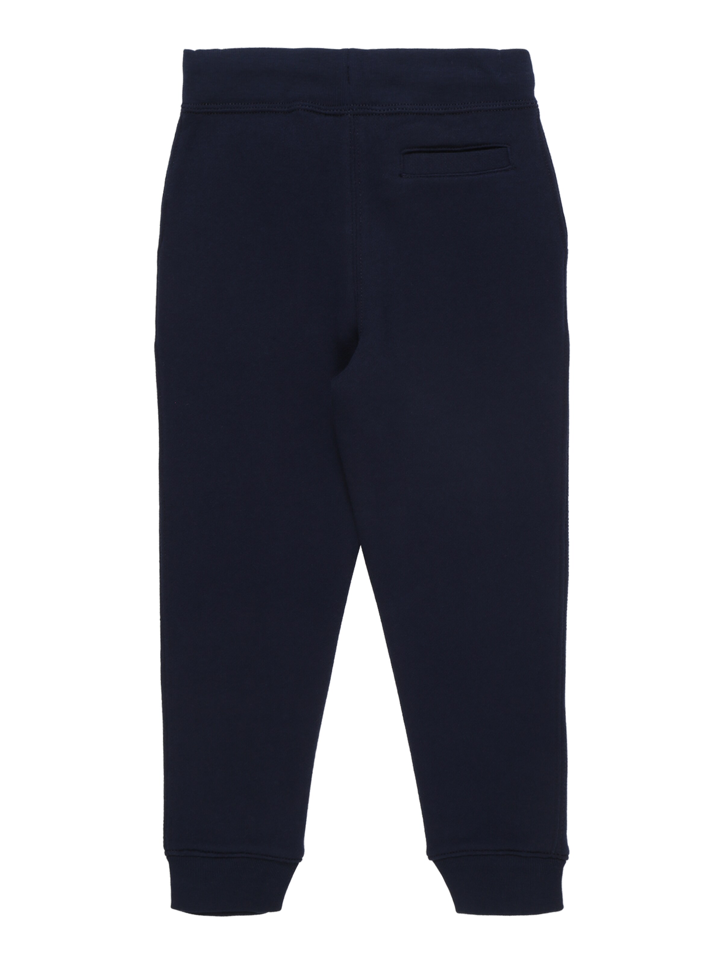 Tapered Pantaloni di Polo Ralph Lauren in blu: dietro