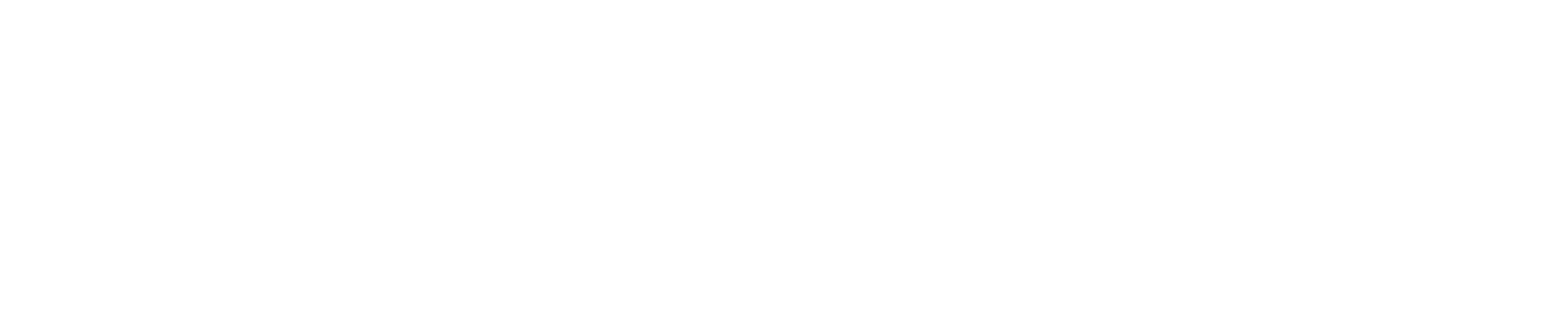 NIXON Logo