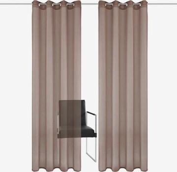 MY HOME Curtains & Drapes in Grey: front