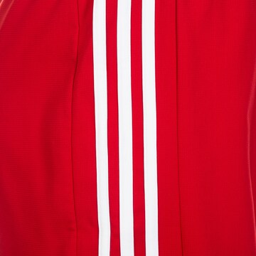 ADIDAS PERFORMANCE Regular Shorts 'Condivo 16' in Rot