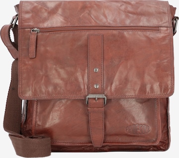 Pride and Soul Crossbody Bag in Brown: front