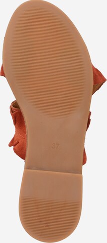 BULLBOXER Nizki natikači | oranžna barva