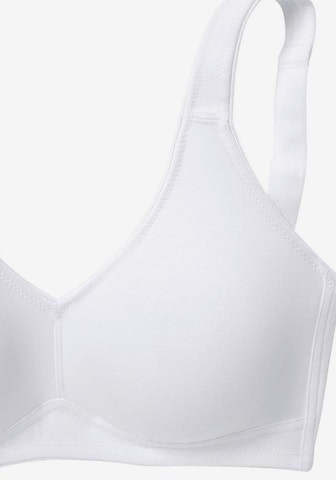 regular Reggiseno di PETITE FLEUR in grigio