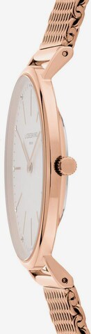 Liebeskind Berlin Analog Watch in Gold