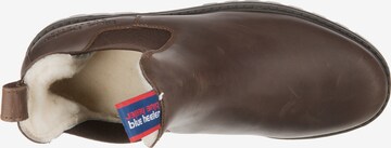 Blue Heeler Chelsea Boots 'Jackaroo' in Braun