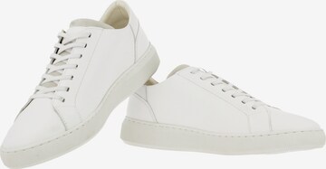 Baskets basses BULLBOXER en blanc