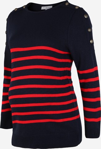 Pull-over 'GASPARD' Envie de Fraise en bleu : devant